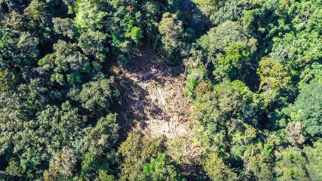 Incorporan 18 ecosistemas de Huánuco a la “Lista Sectorial de Ecosistemas Frágiles”