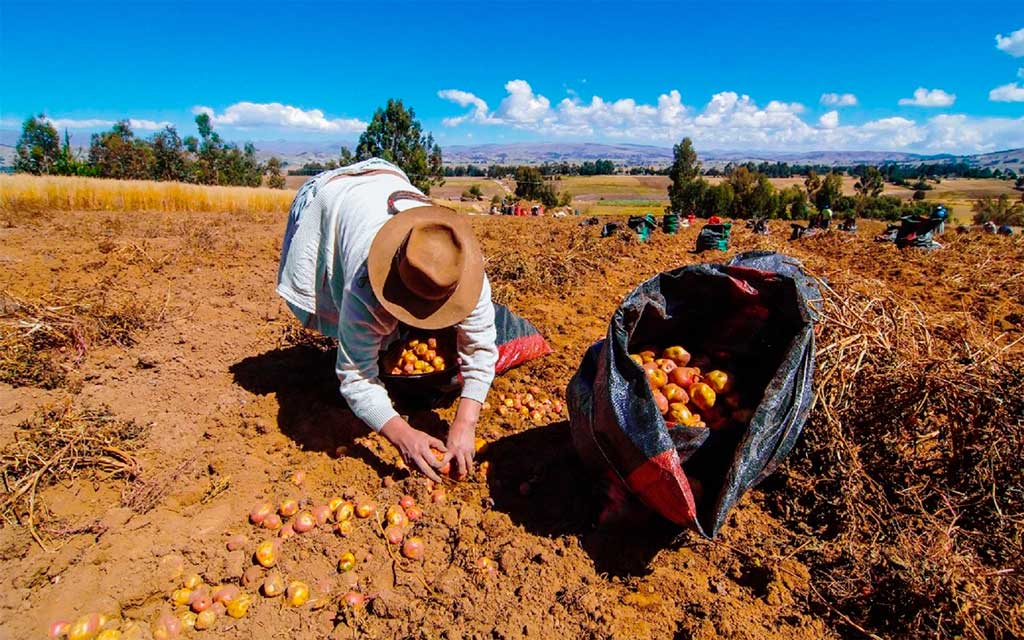 Pedro Castillo presentó la segunda reforma agraria en Cusco. Balance de medidas concretas y las omisiones significativas.